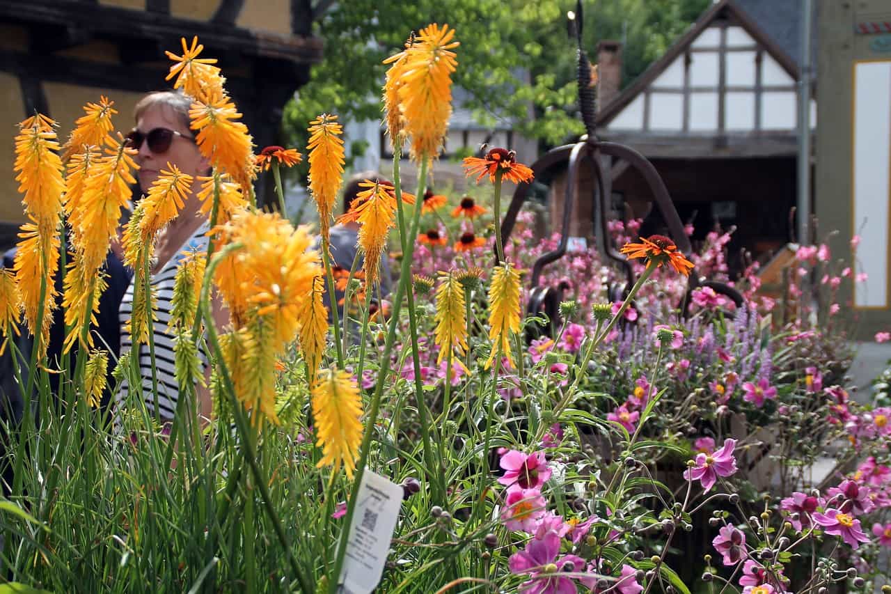 Spreewald- und Schützenfest Lübbenau
