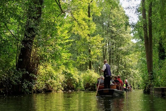 spreewald-Kahnfahrt-Hochwald